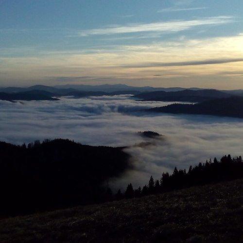 Photo #5447421