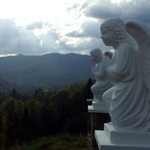 Photo #5447451