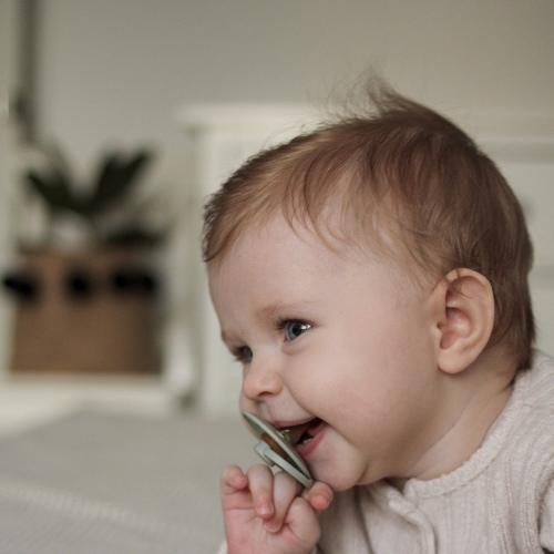 Photo #5447519