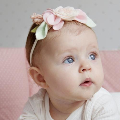 Photo #5447597