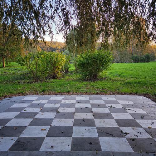 Photo #5447781
