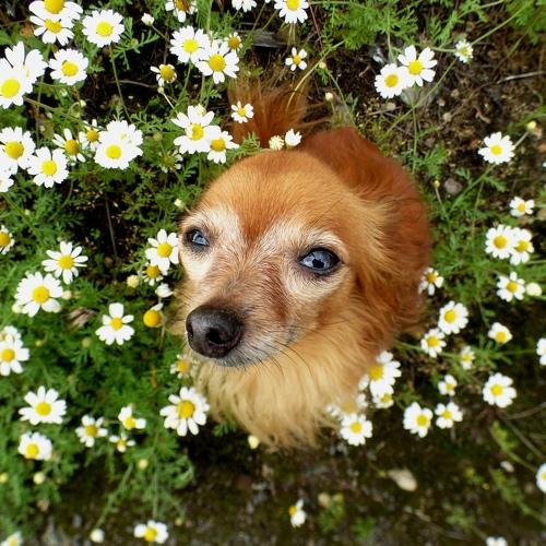 Photo #5447869