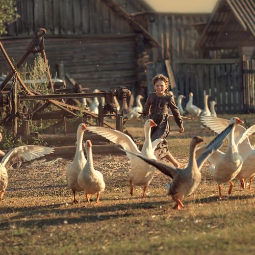 Photo #5447899