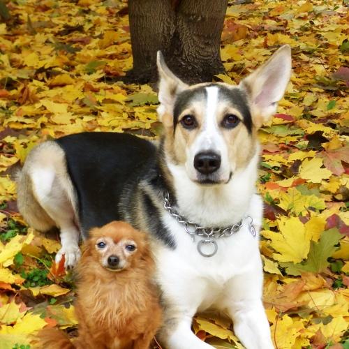 Photo #5447951
