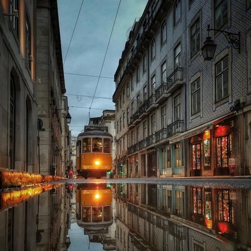 Photo #5448265