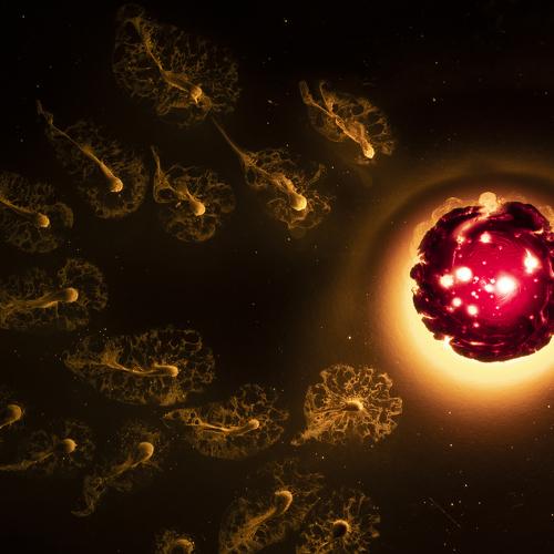 Photo #5448658