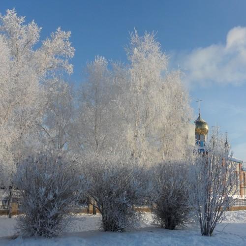 Photo #5448865