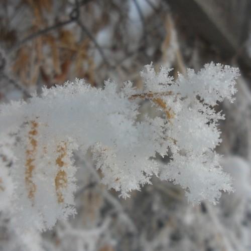 Photo #5448866