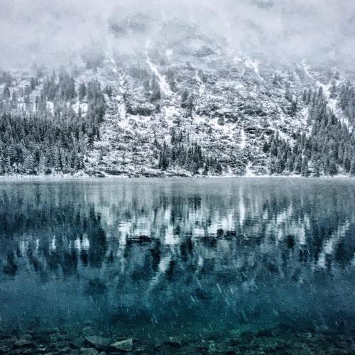 Photo #5449300