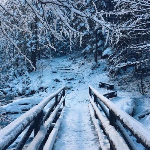 Photo #5449307