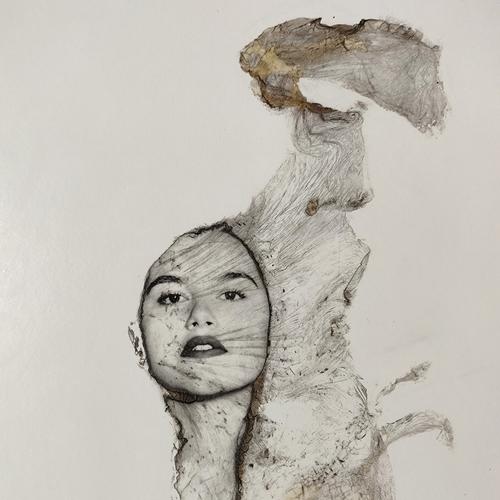 Photo #5449440