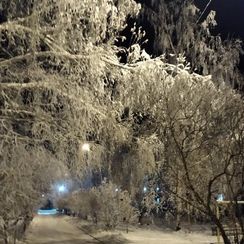 Photo #5450442