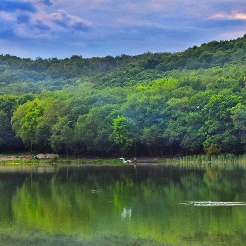 Photo #5450683