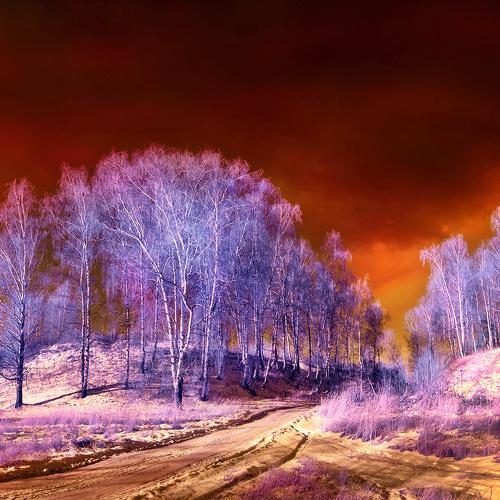 Пейзаж в ИК диапазоне
