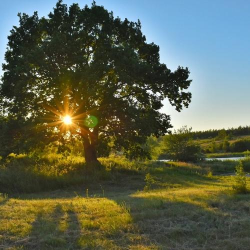 Photo #5450858