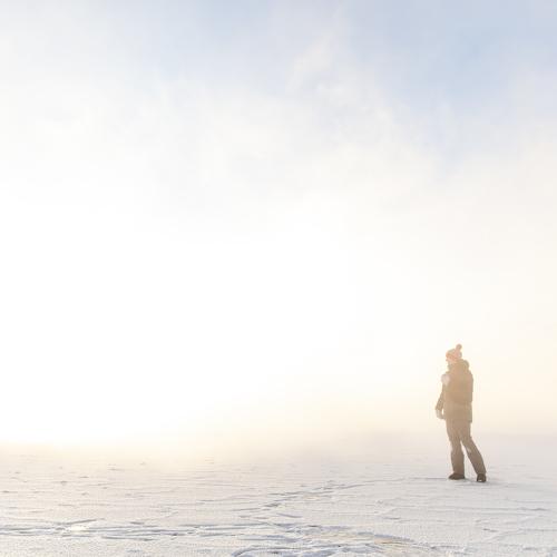 Photo #5450869