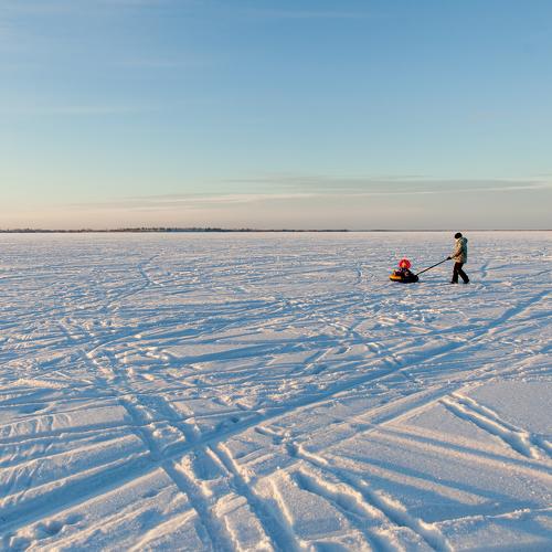 Photo #5450870