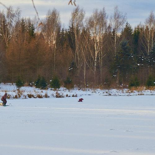 Photo #5450883