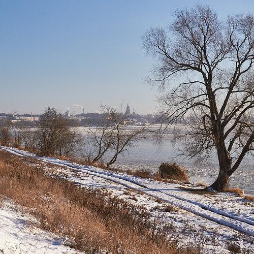 Photo #5451092