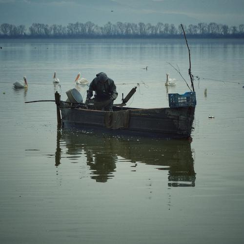 Photo #5451192