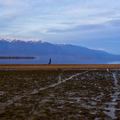 A man walking on Kerkini lake, Greece