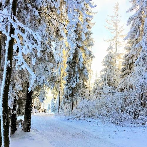 Photo #5451517