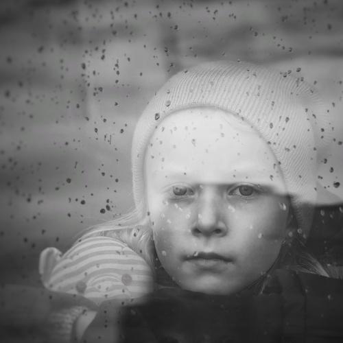 Photo #5451886