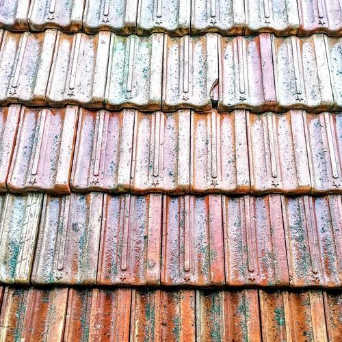 Photo #5451998