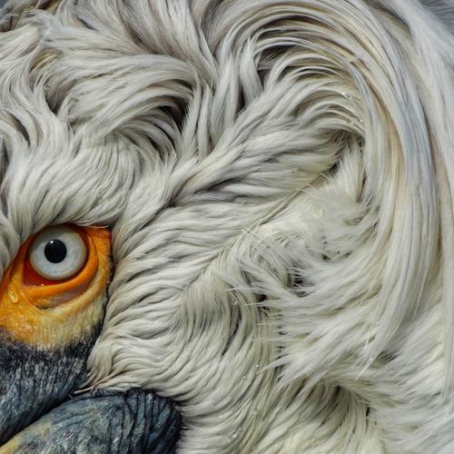 Photo #5452048