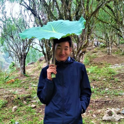 Nature with human