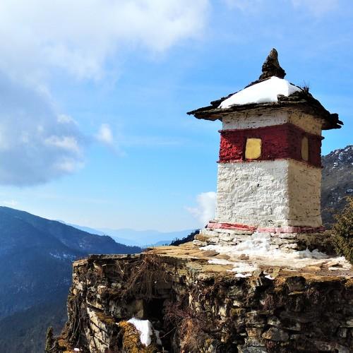 Photo #5452833
