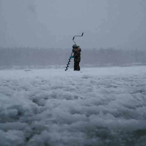 Photo #5453289