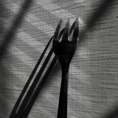 Photo #5453344