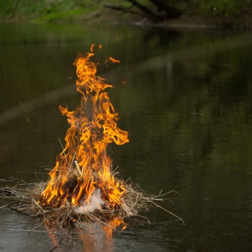 Photo #5453477