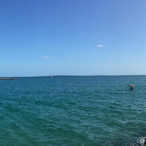 Photo #5454202