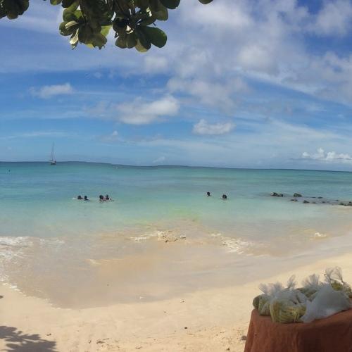 Photo #5454203