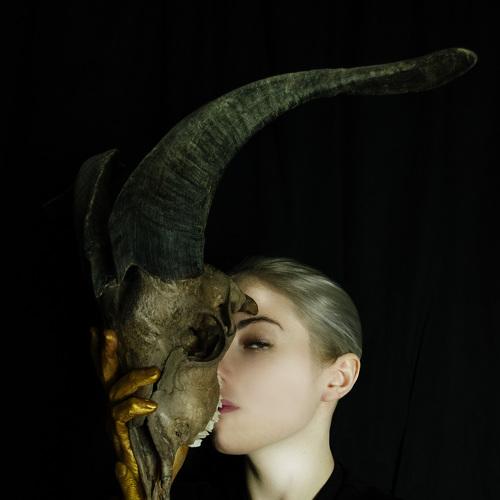 Photo #5454485