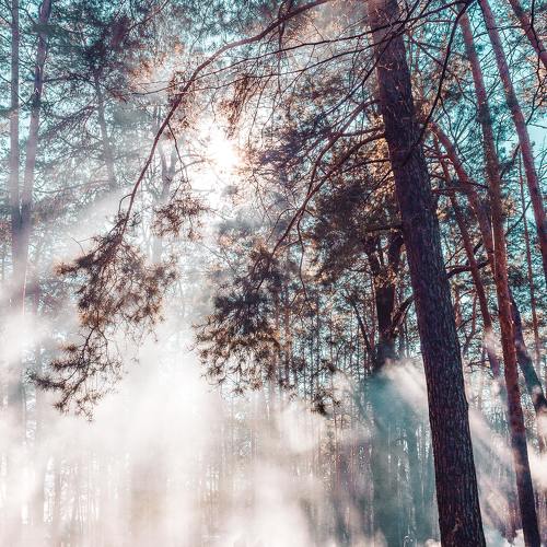 Photo #5454498