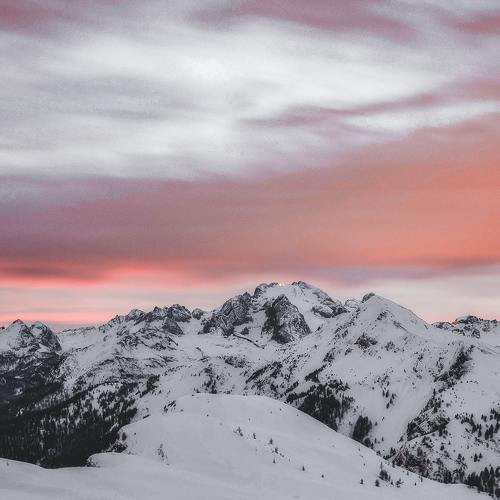 Photo #5454510