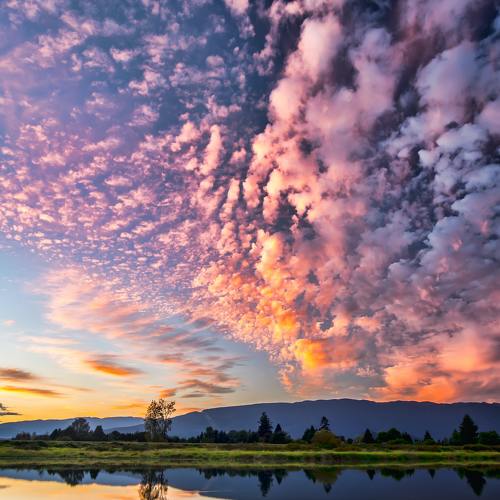 Photo #5454513
