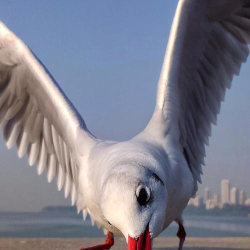 Photo #5454523