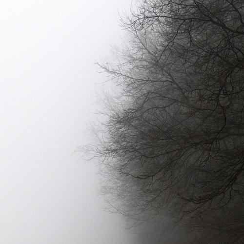Photo #5454645