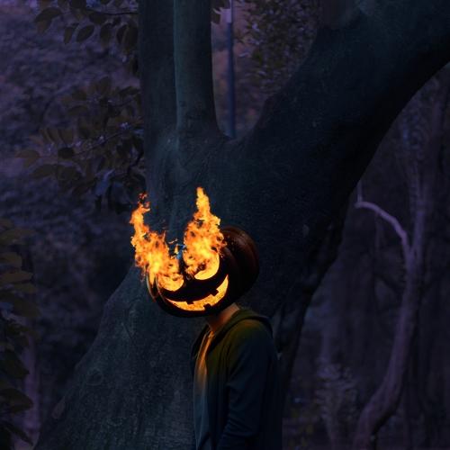 Photo #5454955