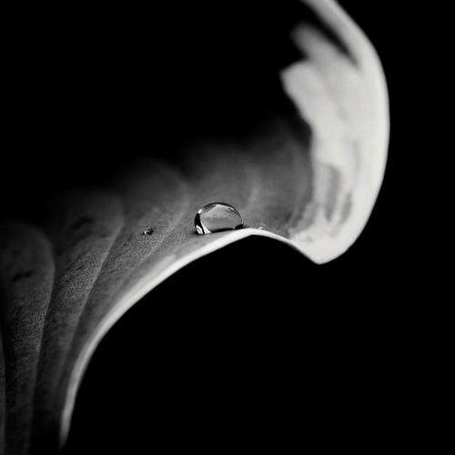 Photo #5455146