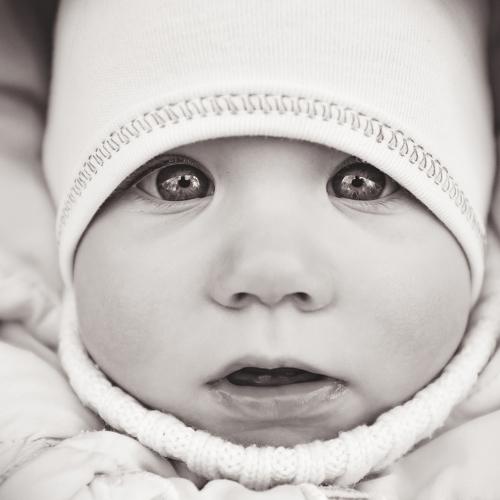 Photo #5455174