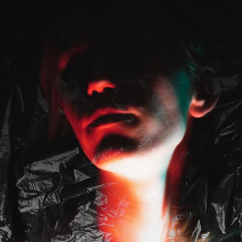 Photo #5455518