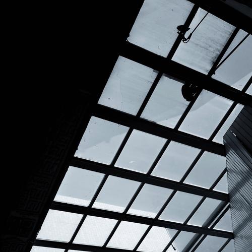 Photo #5455576