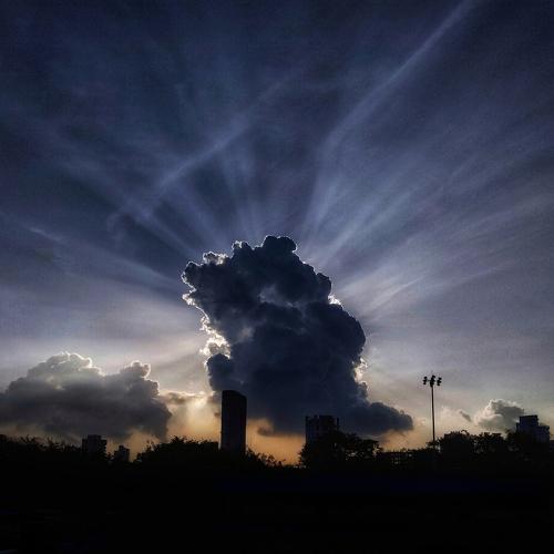 Photo #5455657