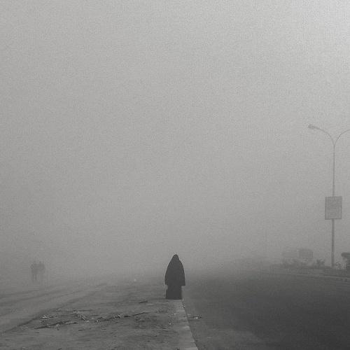 Photo #5455745