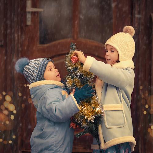 Photo #5455764